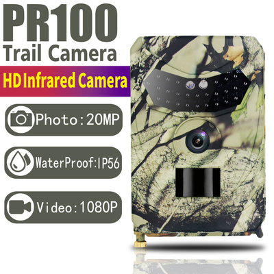 Carta Hunter Trail Camera di TF