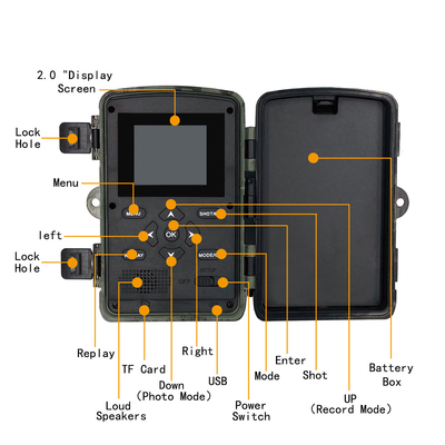 Macchina fotografica LCD della fauna selvatica di visione notturna dello schermo della macchina fotografica 36MP IP54 2,0 della traccia di PR700 4K