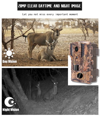 Definizione cercante impermeabile 1080P 20MP 32pcs LCD della macchina fotografica della fauna selvatica 30FPS IP66 alta