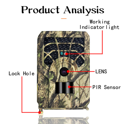 Luci impermeabili 720P di PR300A Hunter Trail Camera IP54 46pcs IR
